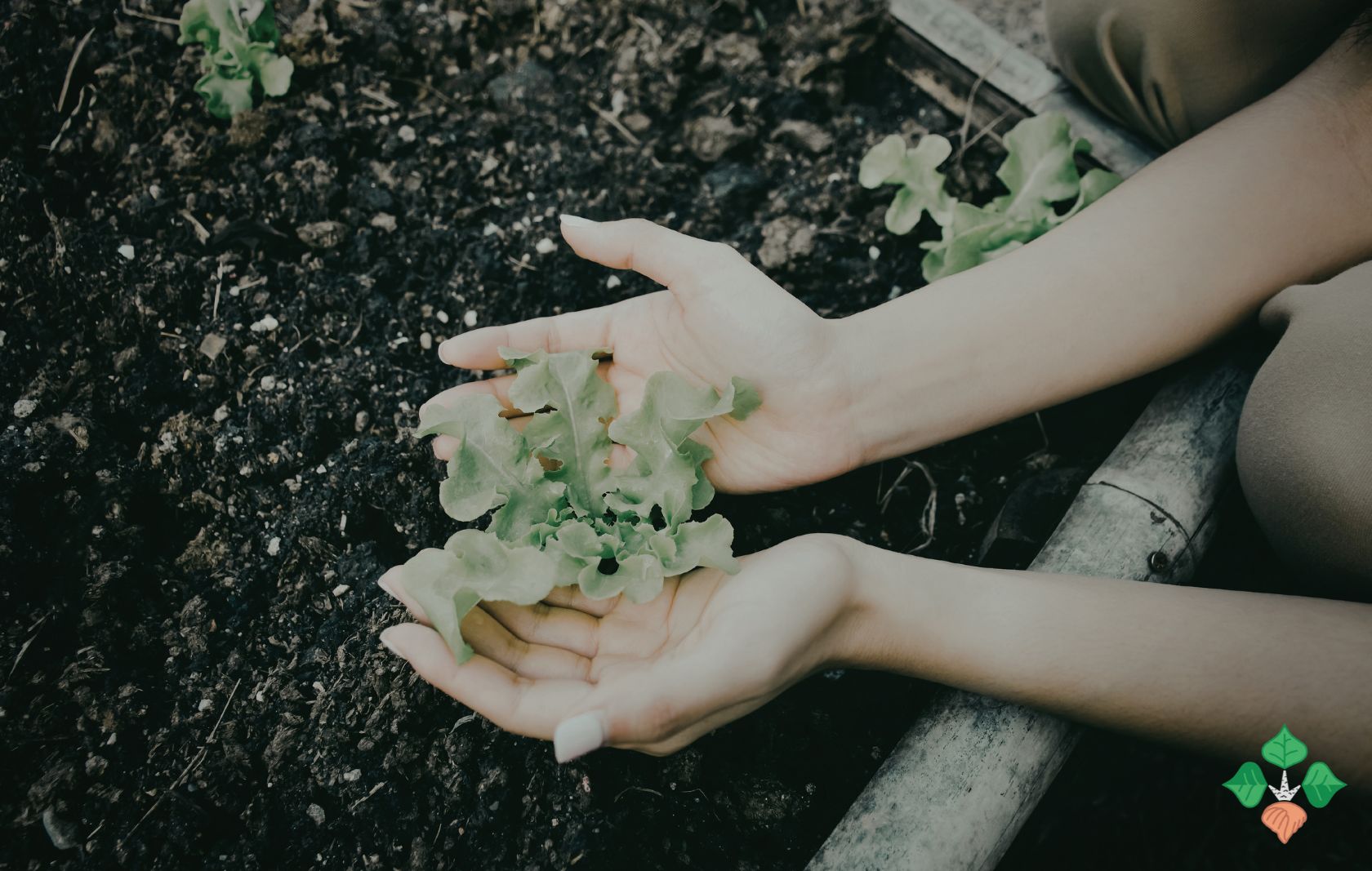 Permakulturní přednáška