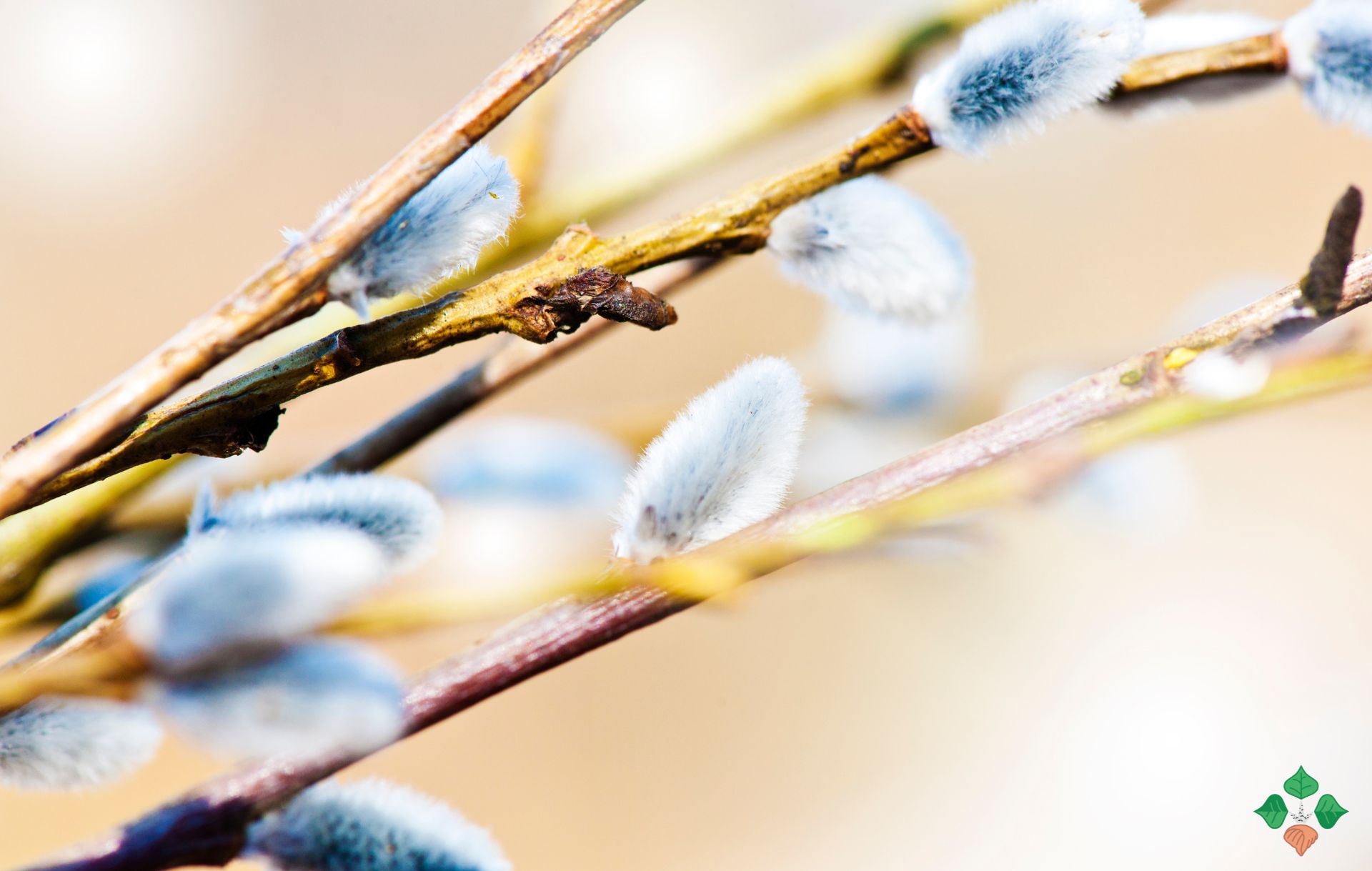 Upleťte si pomlázku